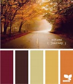 autumn colours
